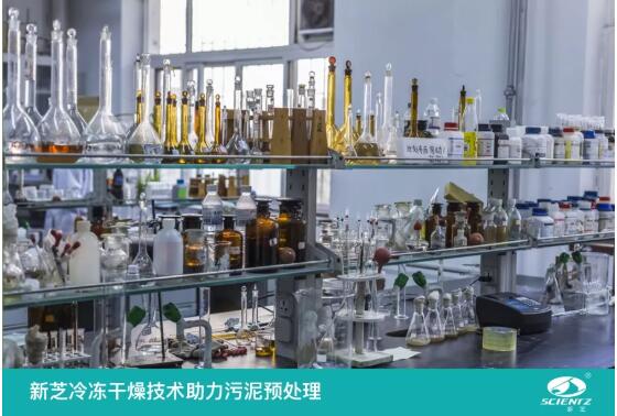 新芝冷凍干燥技術(shù)助力污泥預(yù)處理