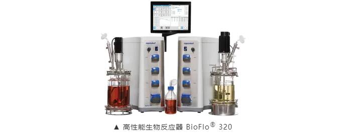 邊治療邊上場比賽？干細(xì)胞療法有助延長運(yùn)動員職業(yè)生涯