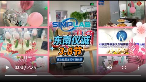 東南儀誠3.8節(jié)活動實(shí)錄