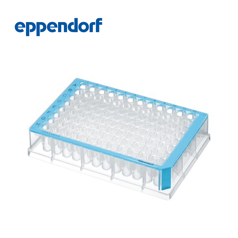 德國艾本德Eppendorf,Deepwell Plate 96/500μL,孔透明,500μL,無菌,藍色,40塊(5包×8塊)