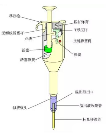 移液器的組成