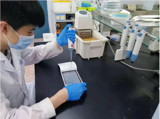 高考后跟大龍來次不期而遇，可好？