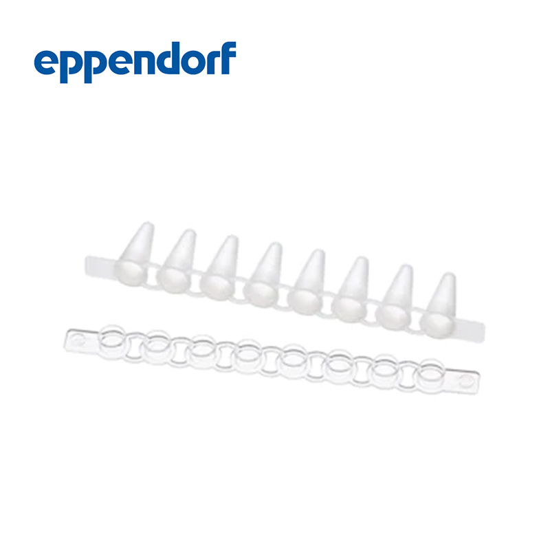 艾本德Eppendorf Fast PCR Tube Strips, 0.1 mL, 帶圓蓋, PCR 潔凈級(jí), 120 個(gè) (10 × 12 個(gè))