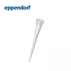 德國(guó)艾本德 Eppendorfep ep Dualfilter T.I.P.S.? LoRetention,PCR 潔凈/無(wú)菌級(jí), 20 – 300 μL, 55 mm, 桔黃色, 天然色 無(wú)色, 9