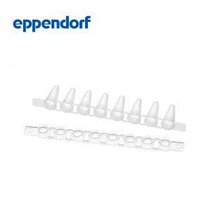 艾本德Eppendorf PCR Tube Strips, 0.1 mL, PCR 潔凈級, 帶平蓋（10 × 12 條）